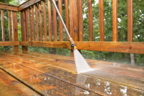 Best Gutter Cleaning  in Carbondale, KS